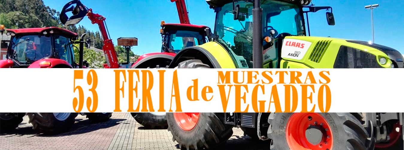 Feria de Muestras Vegadeo